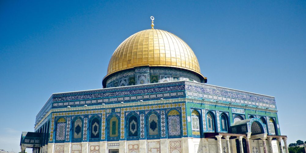 rade-saptovic-7Yuq-xAnSxk-unsplash